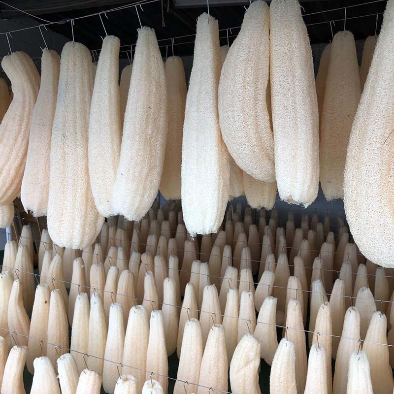 l'éponge en luffa est un nettoyant naturel sans rayures pour vos casseroles