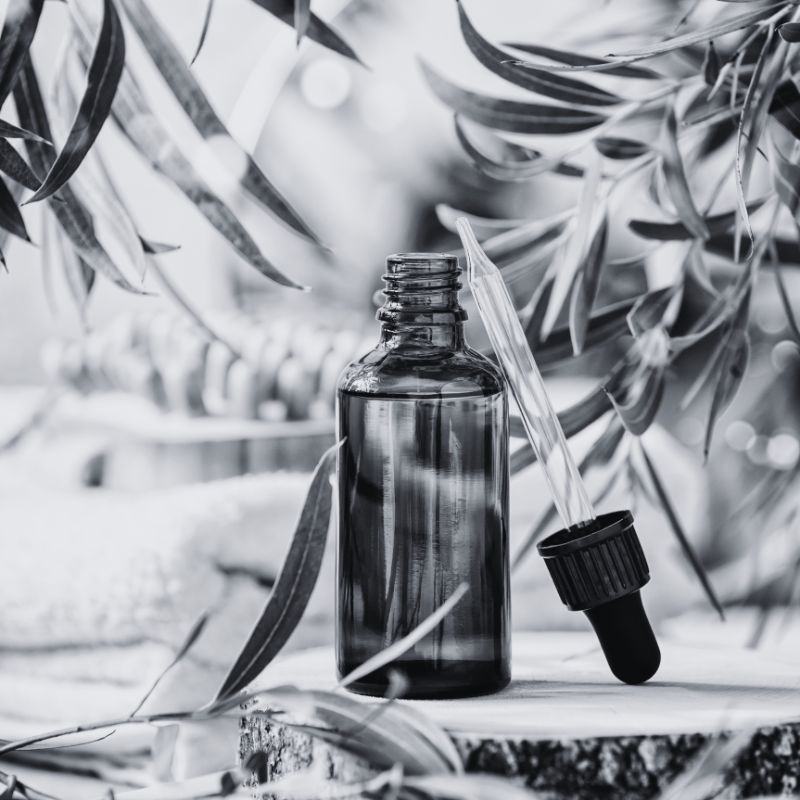 eucalyptus globulus bienfaits dans nos savons naturels et bio