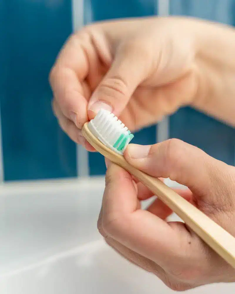 brosse a dent en bois et poils naturel