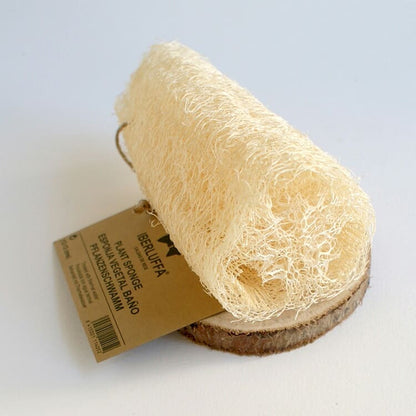 l'éponge en luffa est un exfoliant naturel qui élimine les peaux mortes de la peau.