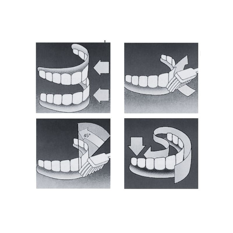 technique brossage de dents adulte